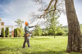 Reliable Delavan, IL Tree Care Services Solutions