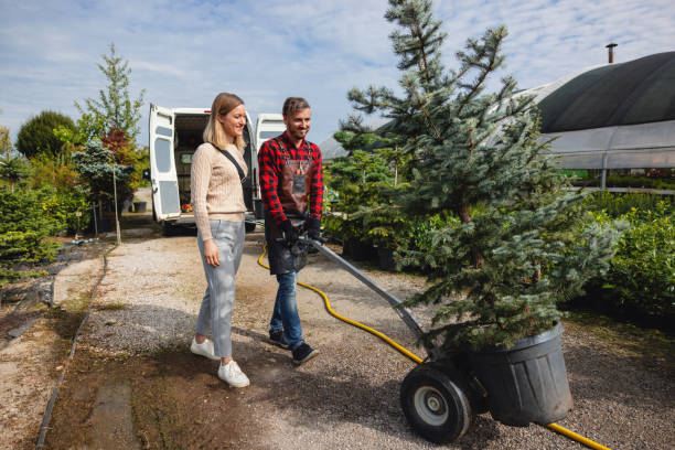 How Our Tree Care Process Works  in  Delavan, IL